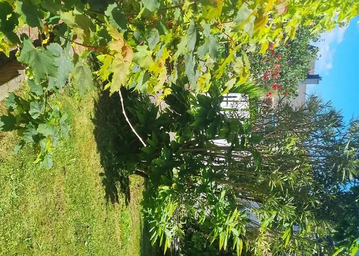 Chambre Privee Dans Maison Au Quartier Calme