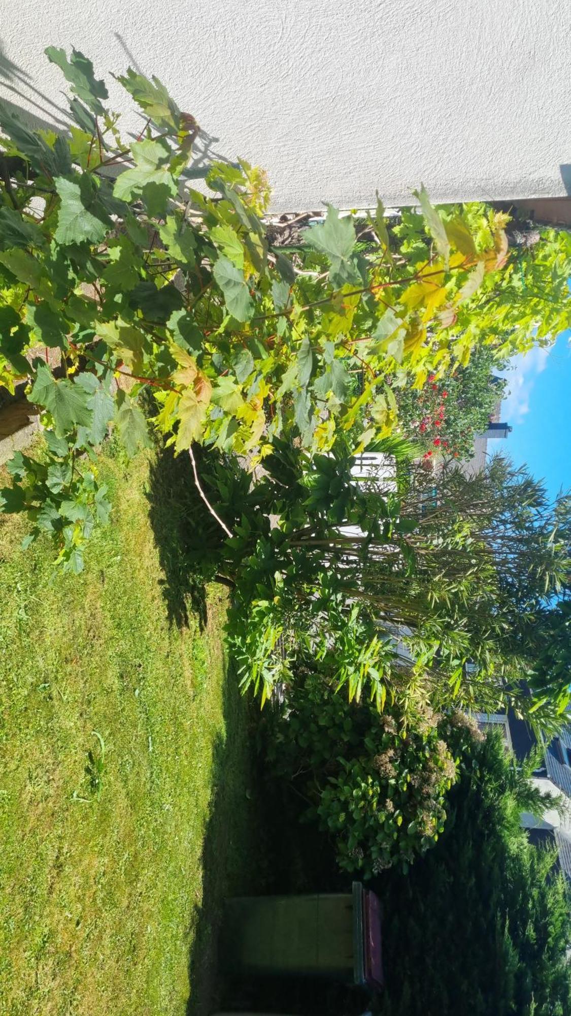 Privee Dans Maison Au Quartier Calme Homestay Brest